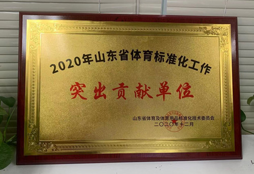 恭喜ng娱乐荣获山东省体育及体育用品标准化技术委员会授予“突出贡献单位”荣誉称号