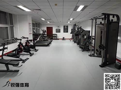 济南某集团采购的ng娱乐提供的健身器材