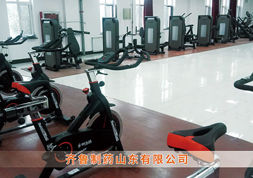 ​ng娱乐为齐鲁制药呼和浩特分公司打造健身房