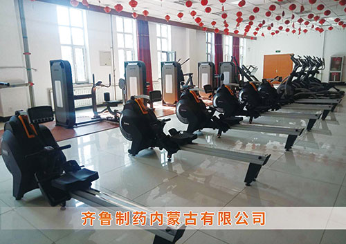 ng娱乐为​齐鲁制药内蒙古分公司打造健身房